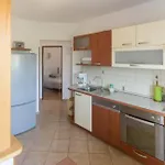 Leylandia House Апартаменты